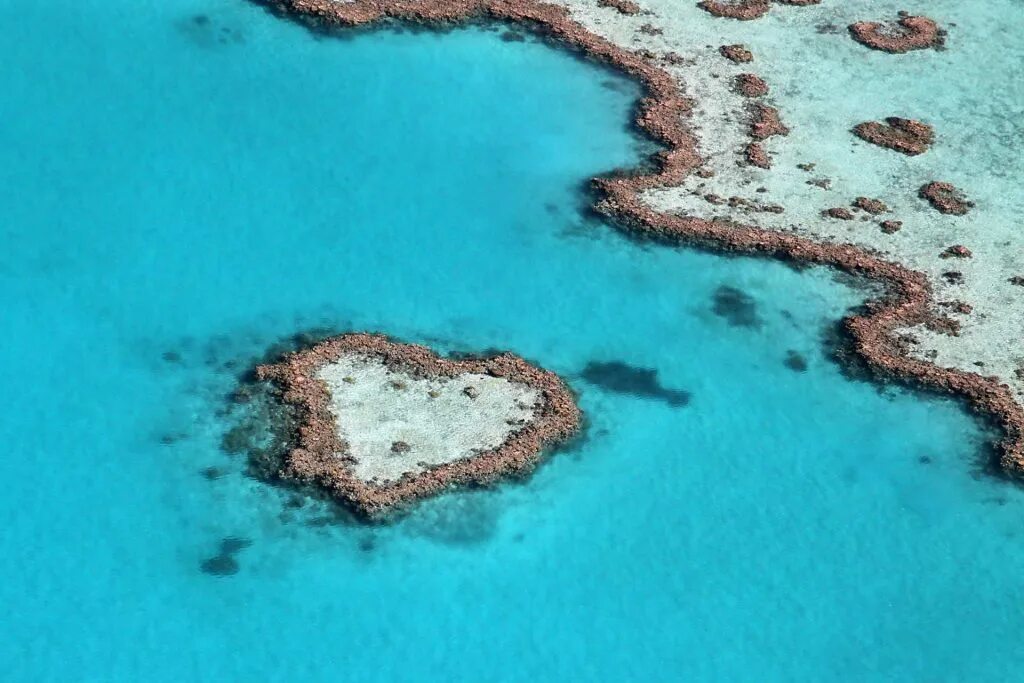 Остров возлюбленных. Сердечный риф. Большой Барьерный риф сердце фото. Остров сердца в ББР. Lewis Reef.