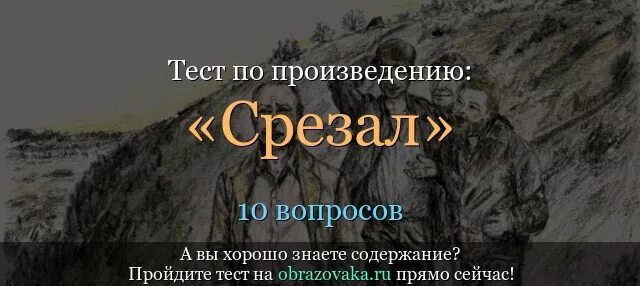 Срезал краткое содержание 6 класс. Тест по рассказу срезал Шукшин. Основные события в рассказе Шукшина срезал. Основные события рассказа срезал Шукшин. Краткий пересказ срезал.