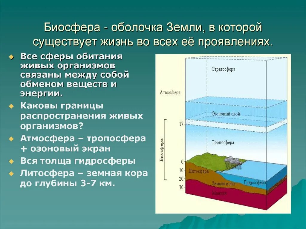 Мощность биосферы. Структура географической оболочки. Строение географической оболочки. Схема строения географической оболочки. Структура и границы географической оболочки.