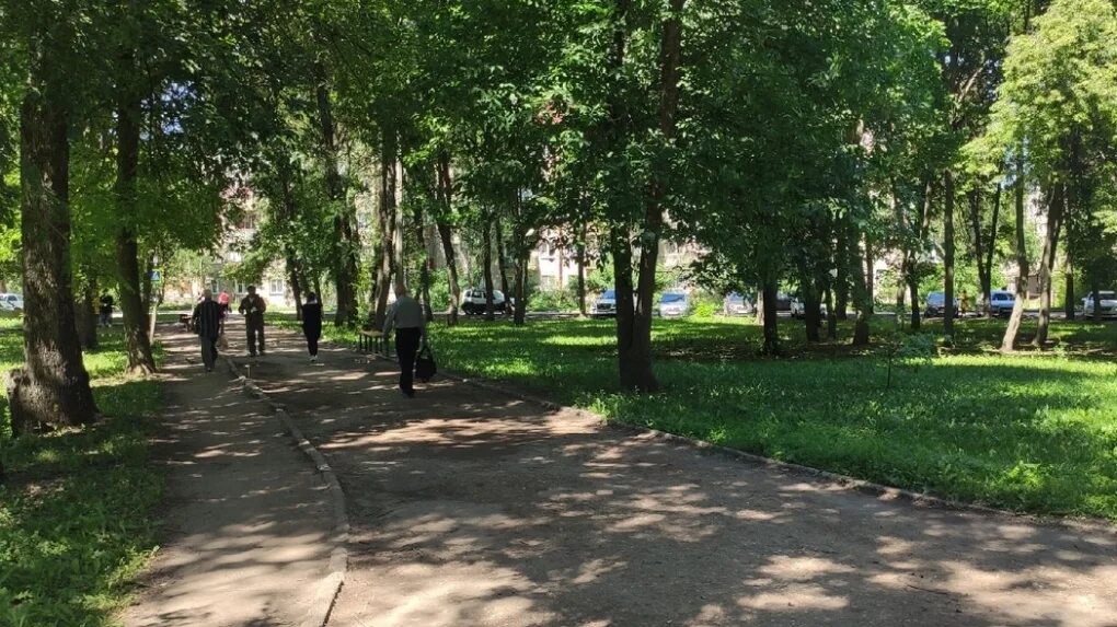 Тамбов улица строителей. Сквер строителей тамбов. сквер зои космодемьянской тамбов. строитель тамбов парк. сквер подсолнух тамбов.