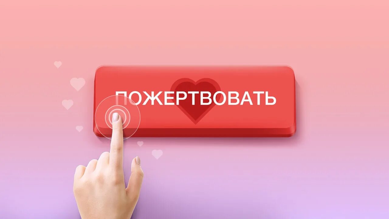 То поддерживает предложение