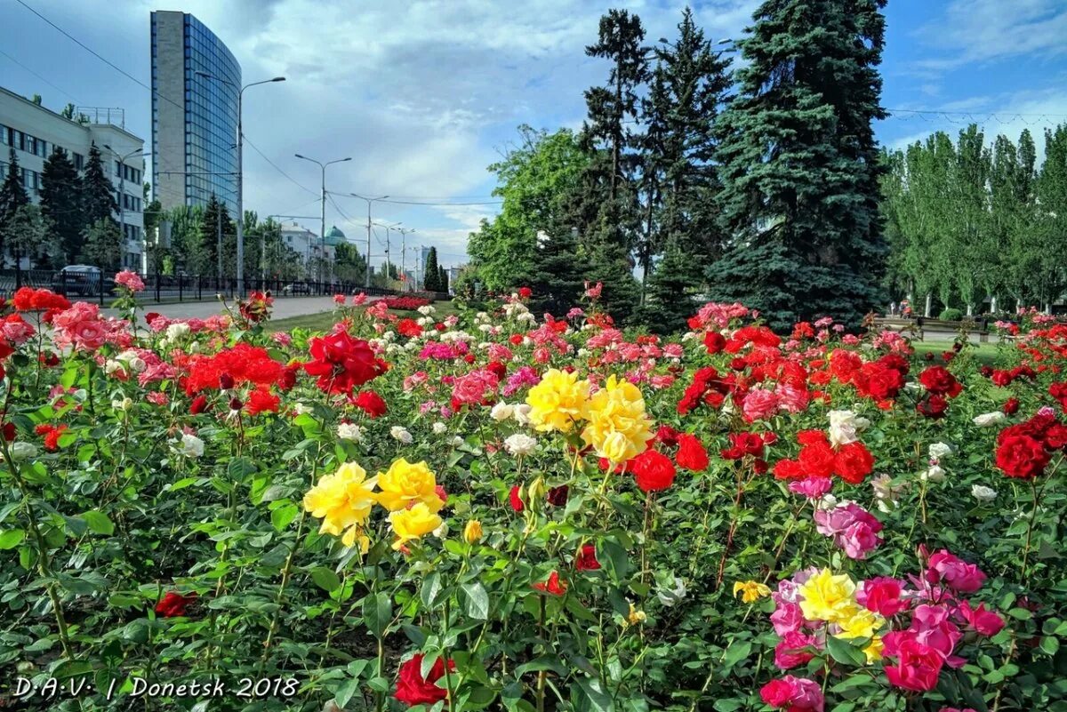 Донецк днр волгоград. Митинг волгоград 23. Донецк днр волгоград. Волгоград украина расстояние. Кафедральный собор николая чудотворца донецк.