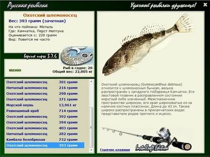 Где поймать ерша