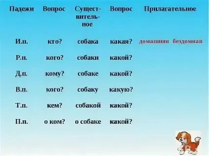 Падеж слова рябине