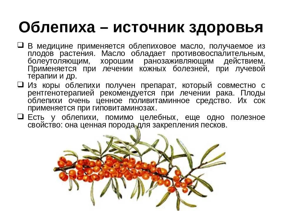 Витамины воблипихе. Полезные витамины облепихи. Чем полезна облепиха. Полезные витамины облепихи. Облепиховое масло витамины.