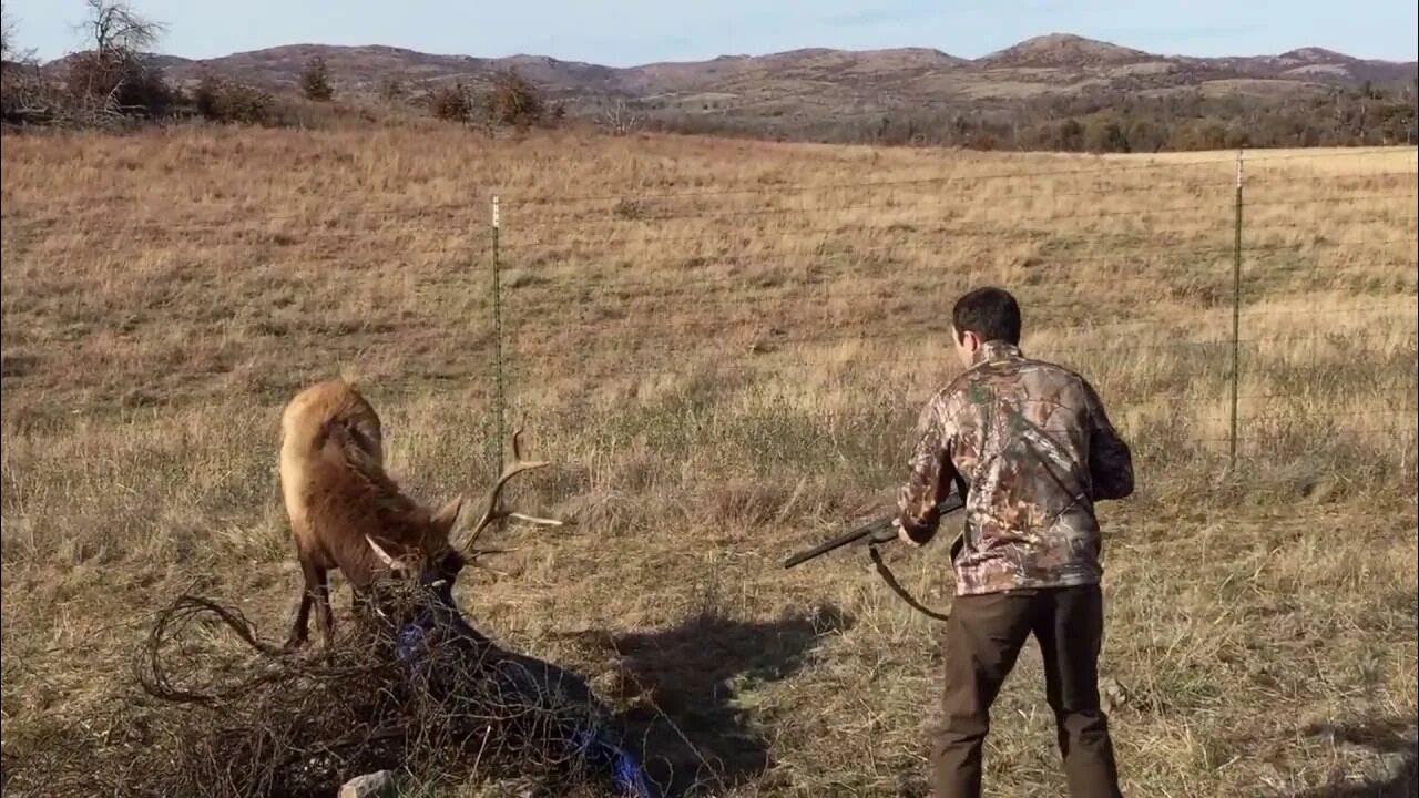 Охота на мужчин. Охота на оленя. Охотник с ружьем. Худший браконьер песня