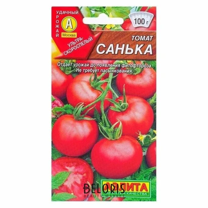 Томат Санька 20 шт. Семена томат "Санька",0,1 гр. Купить низкорослые помидоры семена