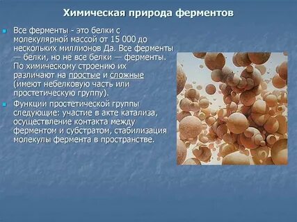 По химическому составу большинство ферментов являются