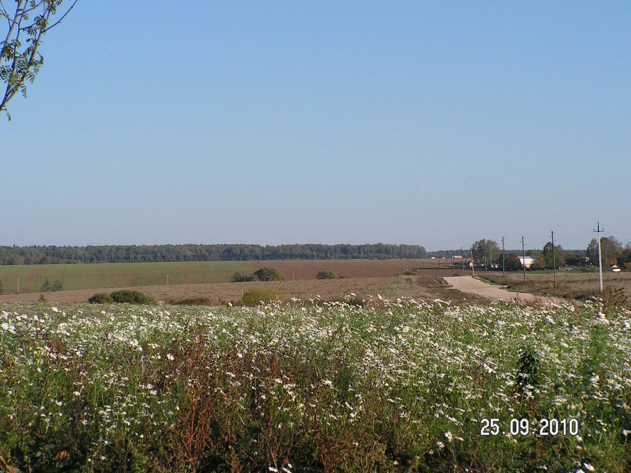 жальское чеховский