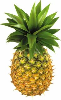 Pineapple fruit