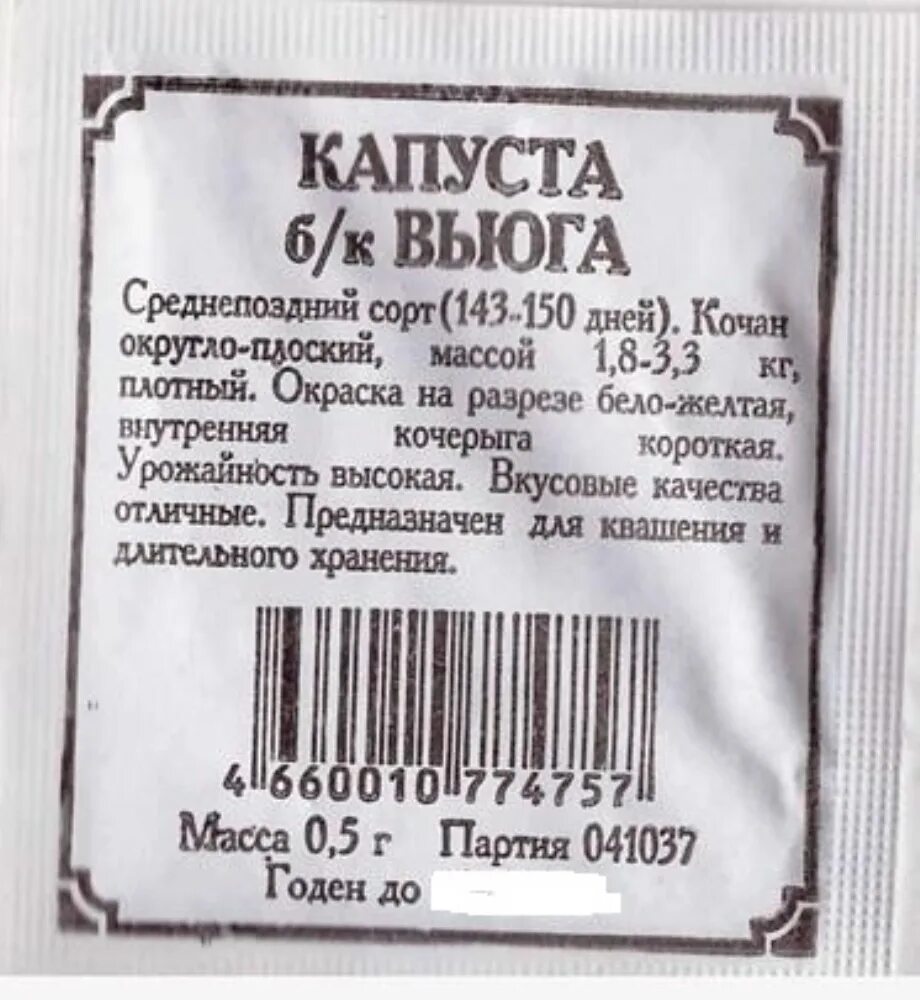 Капуста вьюга описание сорта. Сорт капусты вьюга. Капуста б/к вьюга. Капуста вьюга поиск.