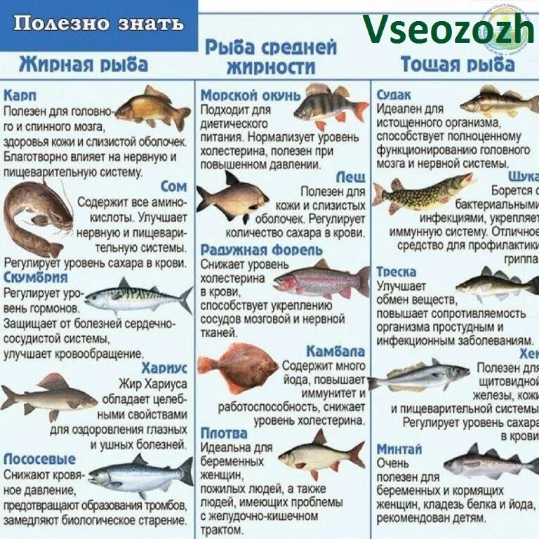 Нежирные сорта рыбы. Самая полезная рыба для человека. Не жирные сориютв рыбы. Рыба морская и Речная таблица.