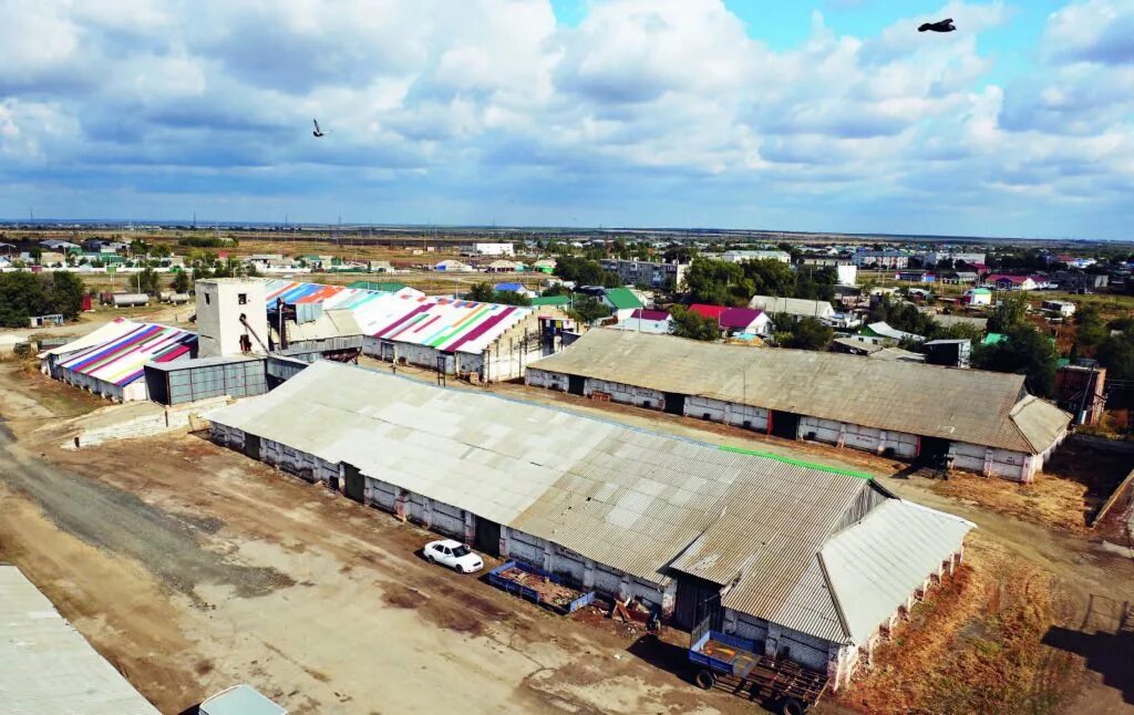 Черниговка школа. Село большая черниговская самарская область. Убийство в большой черниговке. Большечерниговский район самарская область достопримечательности. Прогноз погоды в б черниговке самарской.