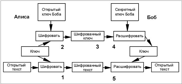 Текст открытого ключа. Схема шифрования с открытым ключом. Шифрование электронной почты. Алиса и Боб в криптографии. Открытый ключ схема.