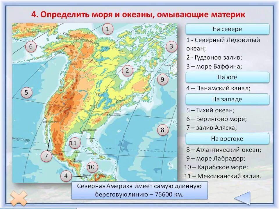 Западное побережье северной америки омывает океан