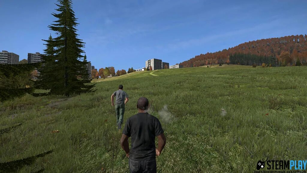 DAYZ Standalone. DAYZ 2011. Day z игра. DAYZ (модификация). Как играть в dayz