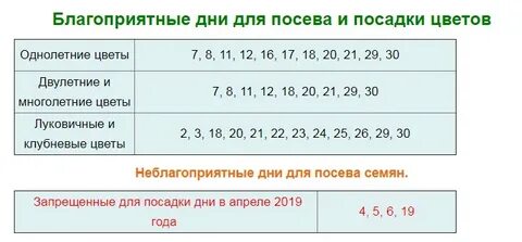 Благоприятные дни для переезда 2024
