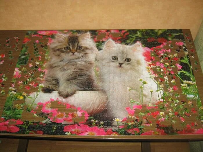 Step Puzzle котята 1500. Пазл Step Puzzle animal collection котята (83022), 1500 дет.. Пазл "котята", 1500 элементов. Степ пазл 1500 шт котята. Пазлы котята собранные