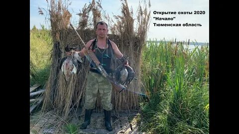 Охота на охоту тюменская область