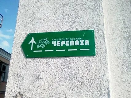 Черепаха курьерская