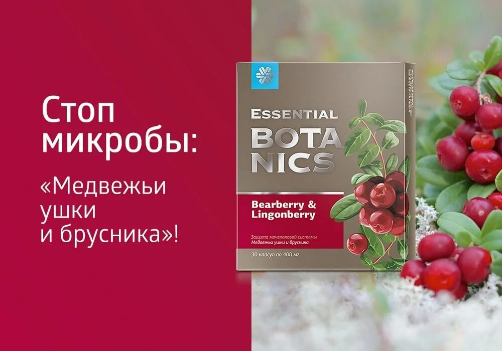 Медвежьи ушки и брусника essential botanics инструкция. Медвежьи ушки Сибирское здоровье. Медвежьи ушки и брусника Сибирское здоровье. Медвежьи ушки и брусника - Essential Botanics. Медвежьи ушки Сибирское и брусника Сибирское здоровье.