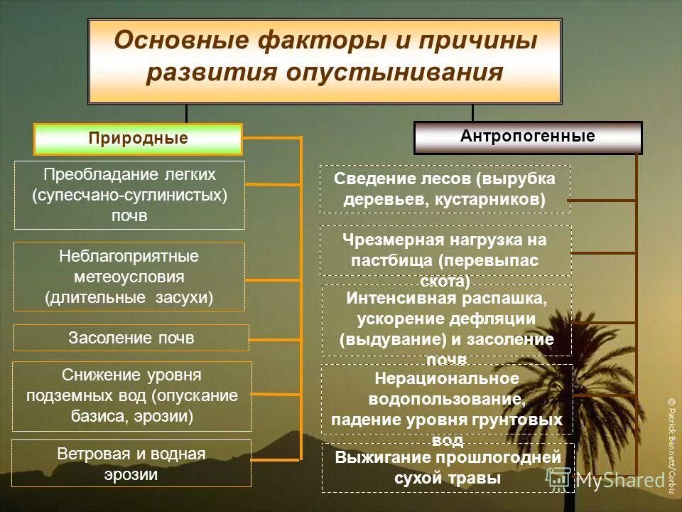 Основные факторы опустынивания. Причины опустынивания земель. Основные причины антропогенного опустынивания. Основная причина опустынивания. Причина антропогенного изменения