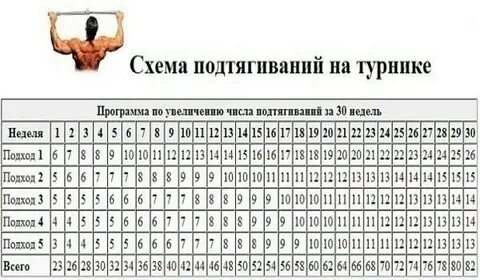 Программы подтягивания на количество