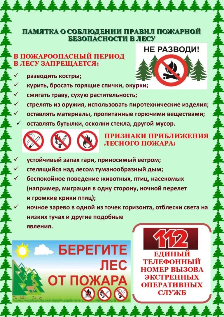Ппб в лесах. Пожарная безопасность в лесах памятка. памятки по правилам пожарной безопасности в лесу. памятка правил пожарной безопасности в лесах. памятка безопасность в лесу.