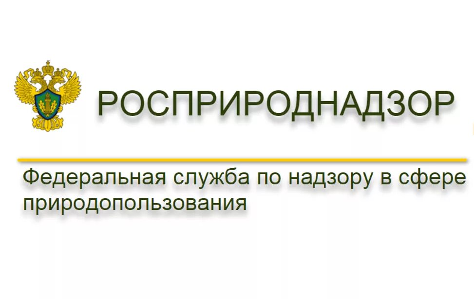 федеральная служба в сфере природопользования. федеральная служба по надзору в сфере природопользования лого. росприроднадзор по иркутской. росприроднадзор форма одежды. росприроднадзор форма.