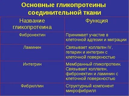 Биохимия соединительной