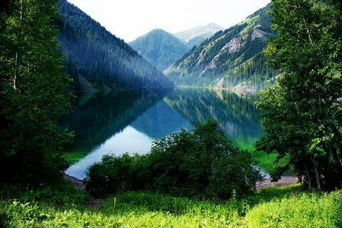 Сулы жер