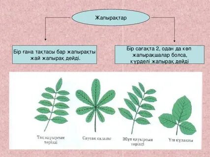 Эротикалық секс элементтері бар фильмдерді қараңыз
