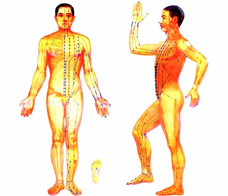Каналы китайской медицины. Акупунктурные точки и меридианы на теле человека. Энергетические меридианы человека китайская медицина. Меридианы ТКМ. 12 Меридианов в китайской медицине.