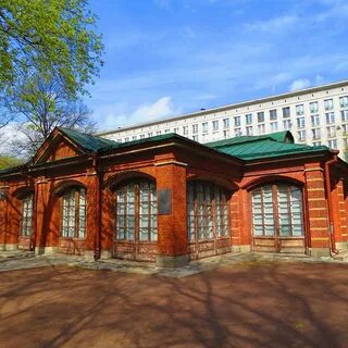 Домик петра русский музей