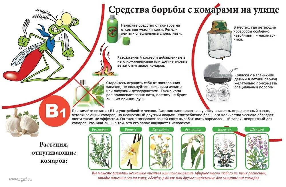 Как избавиться от комара ночью