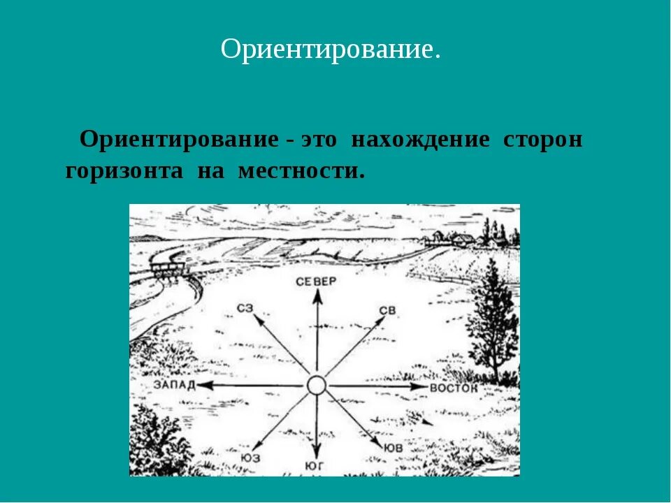 Какая сторона горизонта показана. Ориентирование на местности. Стороны горизонта ориентирование. Задания по ориентированию на местности. Ориентация на местности 2 класс.