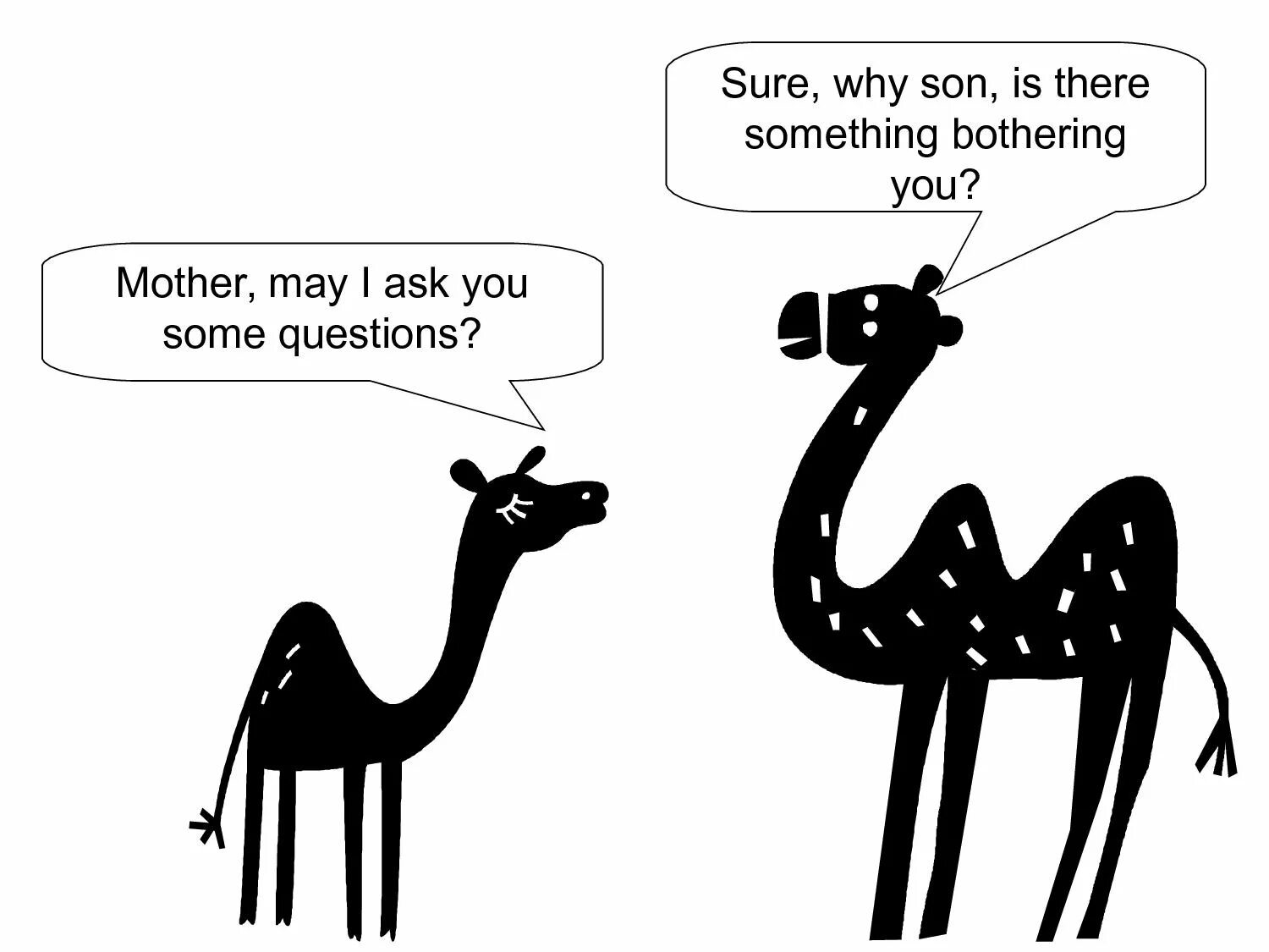 Some questions