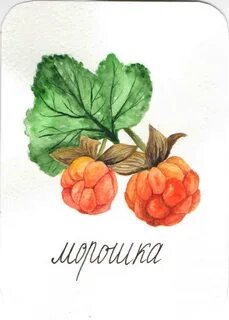 Как сделать карту морошка