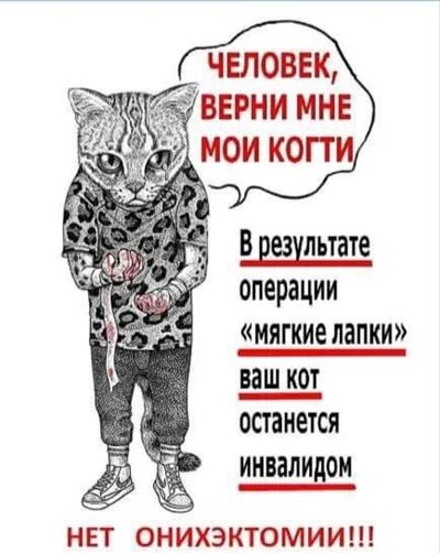 Эй человек. Эй человек Верни мне. Эй человек Верни мне на русском. Животные Эй Верни человек. Эй народ давай