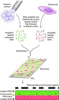 Comparative genomics