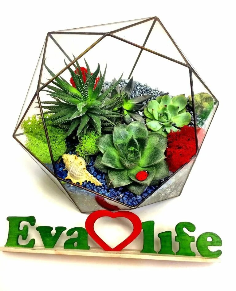 Флорариумная индустрия. Eva Life. Evalife Studio. Eva Life 2022. Evalife 2024