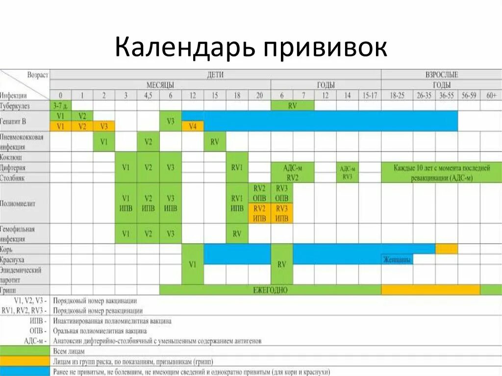 Календарь прививок с рождения в россии. АКДС календарь прививок 2022. Национальный график прививок для детей в России. Национальный календарь прививок для детей до 1 года в РФ.