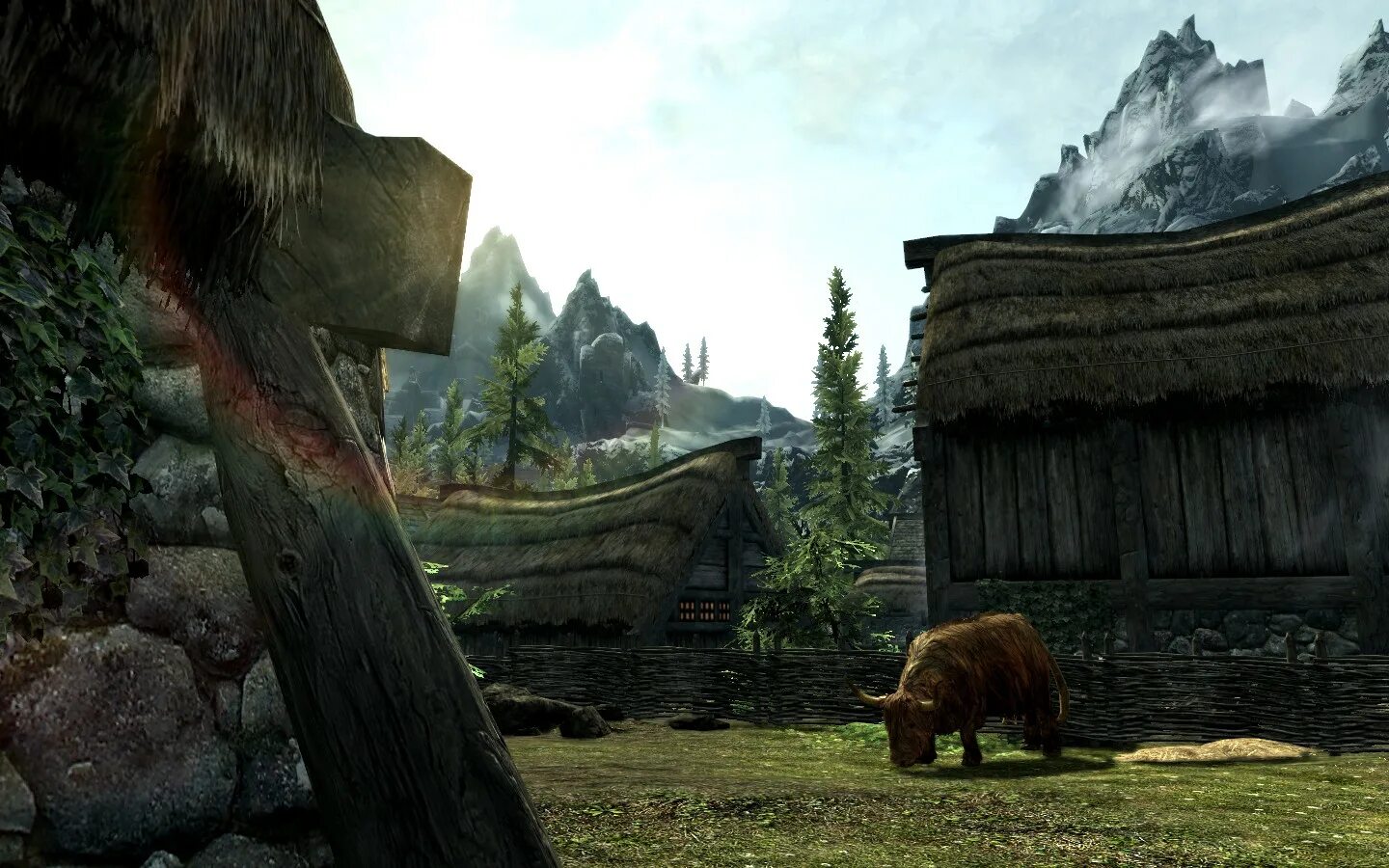 Skyrim first