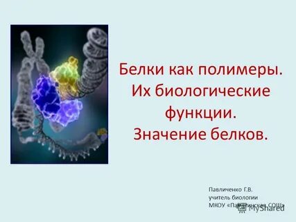 Белки значение для клетки