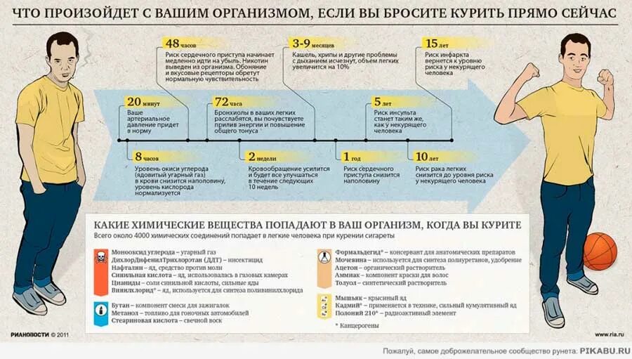 Что происходит программы