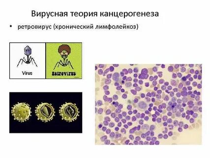 Вирусный канцерогенез