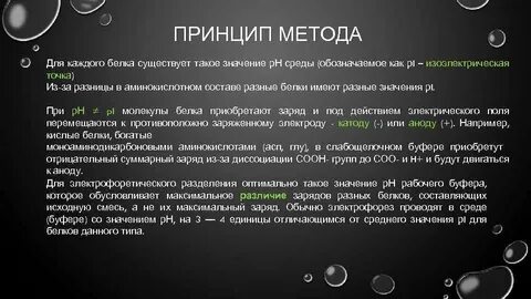 Электрофорез белков принцип метода