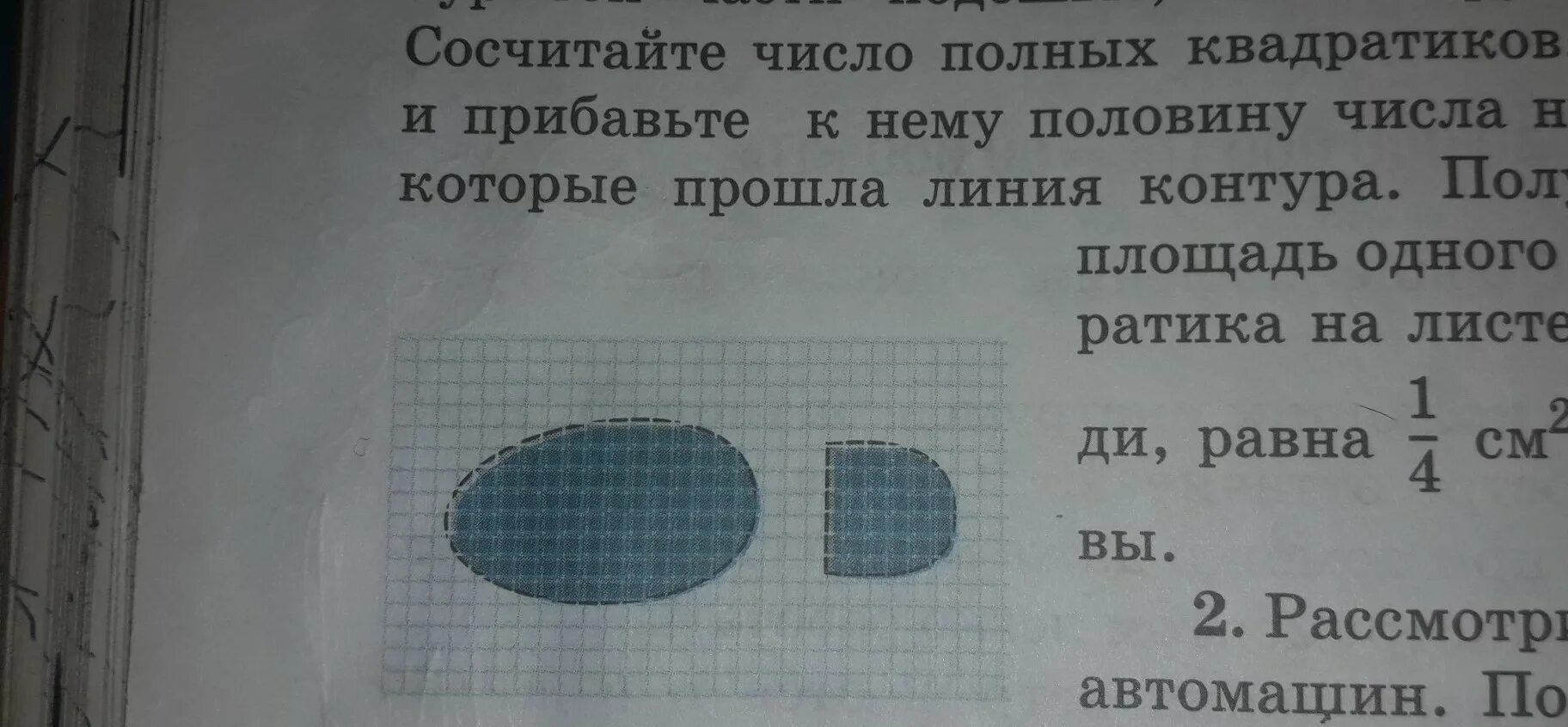 Зная свою массу и площадь ботинка. Площадь подошвы ботинка. Площадь опоры ботинка. Физика нога по клеточкам.