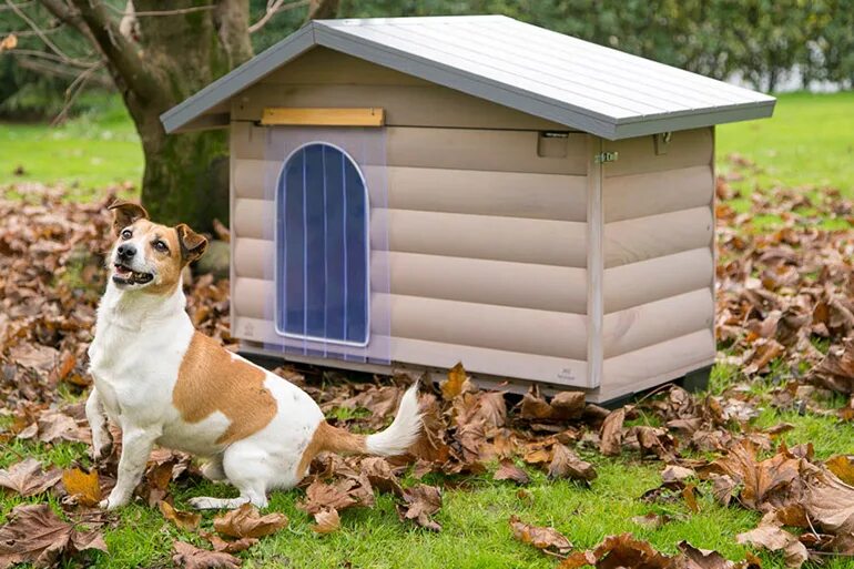 Вальер для собаки в квартиру. Вольер для собаки домашний. Как приучить к вольеру. Клетка для собаки в квартиру. Вольеры для собак.