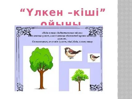 Гинекологтың кабинетінде жыныстық қатынастың фотосуреттерін көрсетіңіз